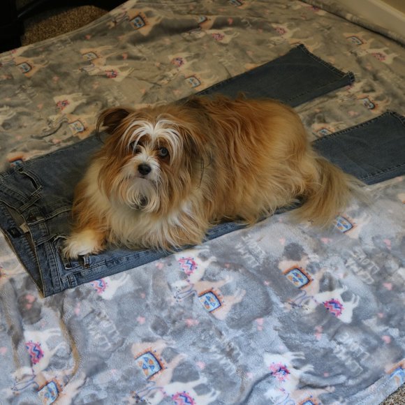 Meet your Posher, Victoria, Posh Ambassador =D - Picture 4 of 4